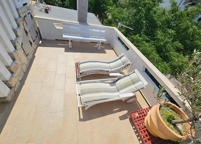 Nives * 로바니스카